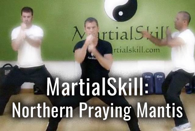 Northern Praying Mantis Level 1